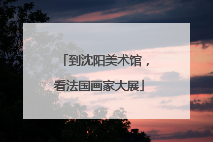 到沈阳美术馆，看法国画家大展