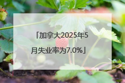 加拿大2025年5月失业率为7.0%