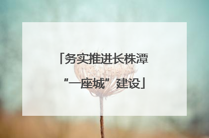 务实推进长株潭“一座城”建设