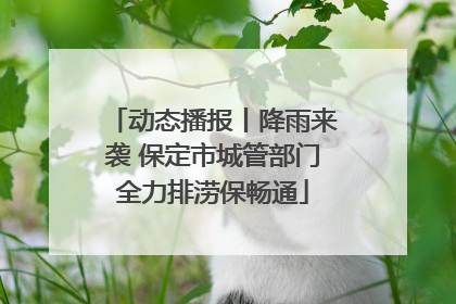 动态播报丨降雨来袭 保定市城管部门全力排涝保畅通