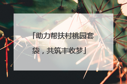 助力帮扶村桃园套袋，共筑丰收梦
