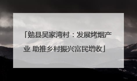 勉县吴家湾村：发展烤烟产业 助推乡村振兴富民增收