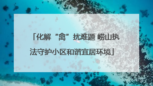 化解“禽”扰难题 崂山执法守护小区和谐宜居环境