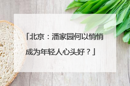 北京：潘家园何以悄悄成为年轻人心头好？