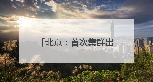 北京：首次集群出现，世界极危物种黄胸鹀到访野鸭湖