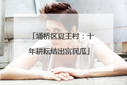 埇桥区夏王村：十年耕耘结出富民瓜