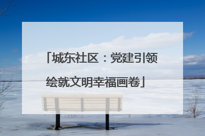 城东社区：党建引领绘就文明幸福画卷