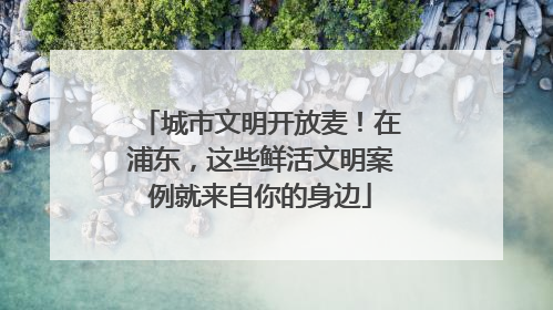 城市文明开放麦！在浦东，这些鲜活文明案例就来自你的身边