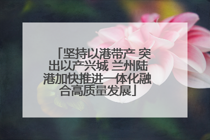 坚持以港带产 突出以产兴城 兰州陆港加快推进一体化融合高质量发展