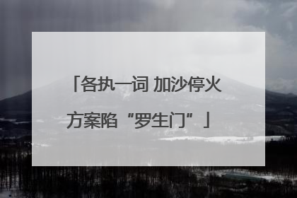 各执一词 加沙停火方案陷“罗生门”