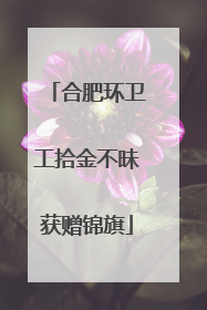 合肥环卫工拾金不昧获赠锦旗