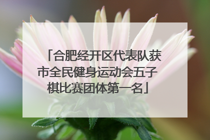 合肥经开区代表队获市全民健身运动会五子棋比赛团体第一名