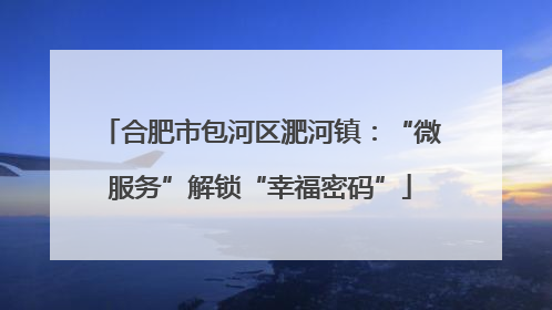 合肥市包河区淝河镇：“微服务”解锁“幸福密码”