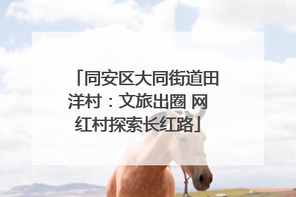 同安区大同街道田洋村：文旅出圈 网红村探索长红路