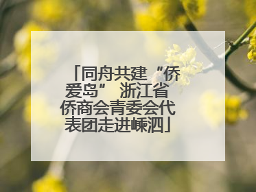 同舟共建“侨爱岛” 浙江省侨商会青委会代表团走进嵊泗