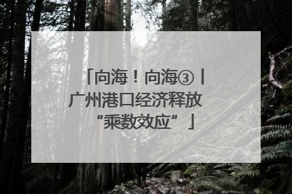向海！向海③丨广州港口经济释放“乘数效应”