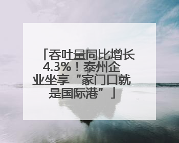 吞吐量同比增长4.3%！泰州企业坐享“家门口就是国际港”