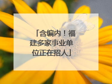 含编内！福建多家事业单位正在招人