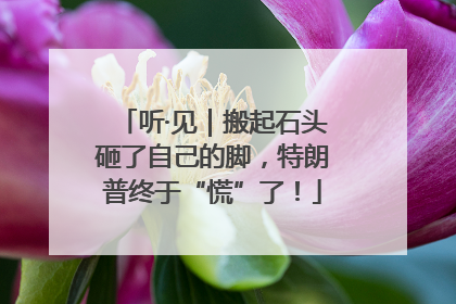 听·见｜搬起石头砸了自己的脚，特朗普终于“慌”了！
