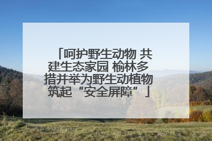 呵护野生动物 共建生态家园 榆林多措并举为野生动植物筑起“安全屏障”