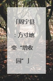 周宁县：方寸地变“增收园”