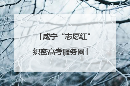 咸宁“志愿红”织密高考服务网
