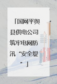 国网平舆县供电公司筑牢电网防汛“安全堤”