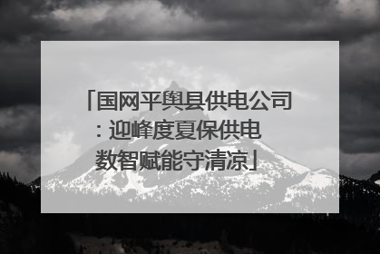 国网平舆县供电公司：迎峰度夏保供电  数智赋能守清凉