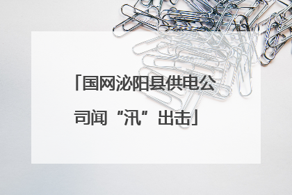 国网泌阳县供电公司闻“汛”出击