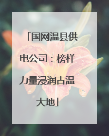 国网温县供电公司：榜样力量浸润古温大地