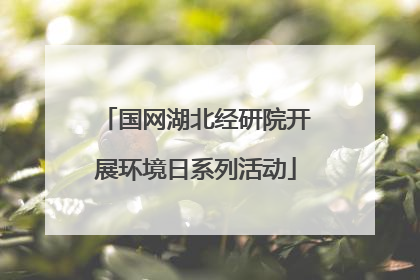 国网湖北经研院开展环境日系列活动