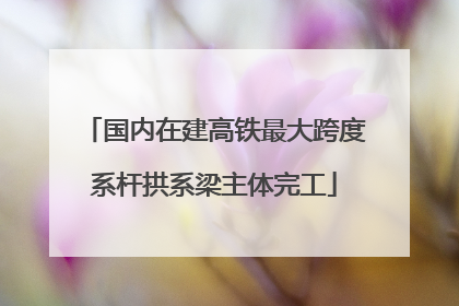 国内在建高铁最大跨度系杆拱系梁主体完工