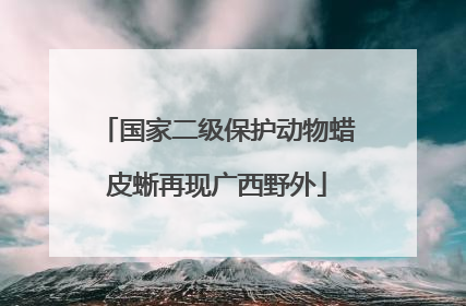 国家二级保护动物蜡皮蜥再现广西野外