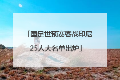 国足世预赛客战印尼25人大名单出炉