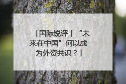 国际锐评丨“未来在中国”何以成为外资共识？