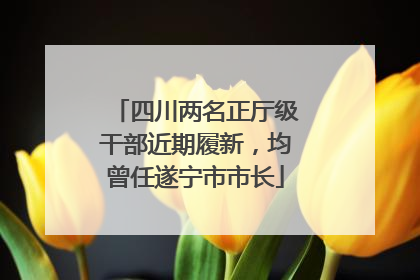 四川两名正厅级干部近期履新，均曾任遂宁市市长