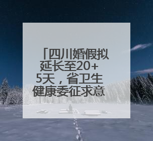 四川婚假拟延长至20+5天，省卫生健康委征求意见→