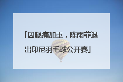 因腿痛加重，陈雨菲退出印尼羽毛球公开赛