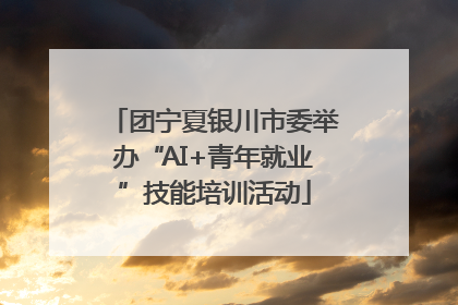 团宁夏银川市委举办“AI+青年就业”技能培训活动