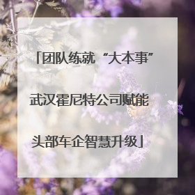 团队练就“大本事” 武汉霍尼特公司赋能头部车企智慧升级