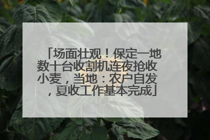 场面壮观！保定一地数十台收割机连夜抢收小麦，当地：农户自发，夏收工作基本完成