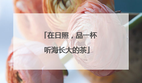 在日照，品一杯听海长大的茶