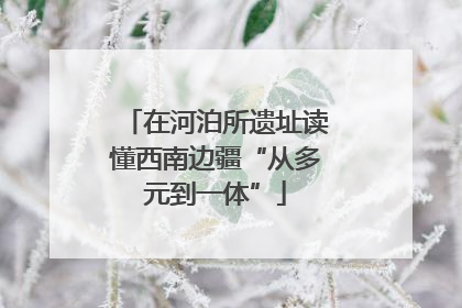 在河泊所遗址读懂西南边疆“从多元到一体”