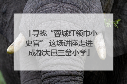 寻找“蓉城红领巾小史官” 这场讲座走进成都大邑三岔小学