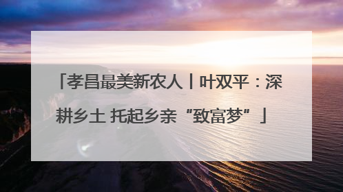 孝昌最美新农人丨叶双平：深耕乡土 托起乡亲“致富梦”