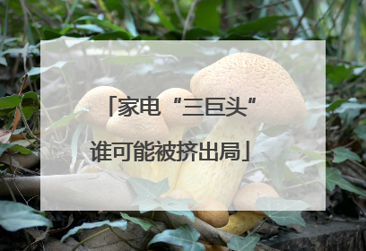 家电“三巨头”谁可能被挤出局