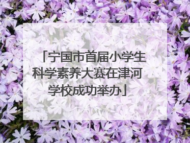 宁国市首届小学生科学素养大赛在津河学校成功举办