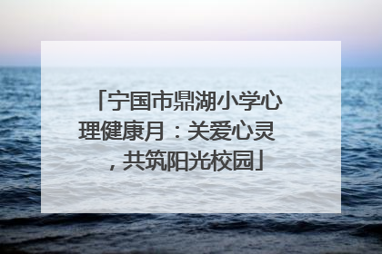 宁国市鼎湖小学心理健康月：关爱心灵，共筑阳光校园