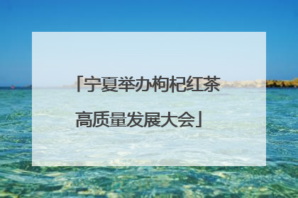 宁夏举办枸杞红茶高质量发展大会