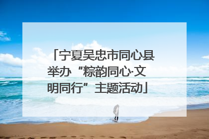 宁夏吴忠市同心县举办“粽韵同心·文明同行”主题活动